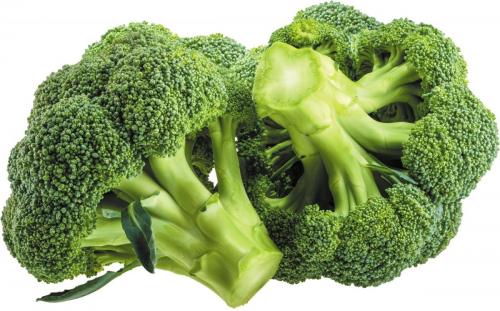 Fresh broccoli isolated on white background