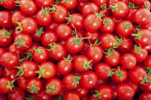 Jesmond-Fruit-Barn-Cherry-Tomatoes