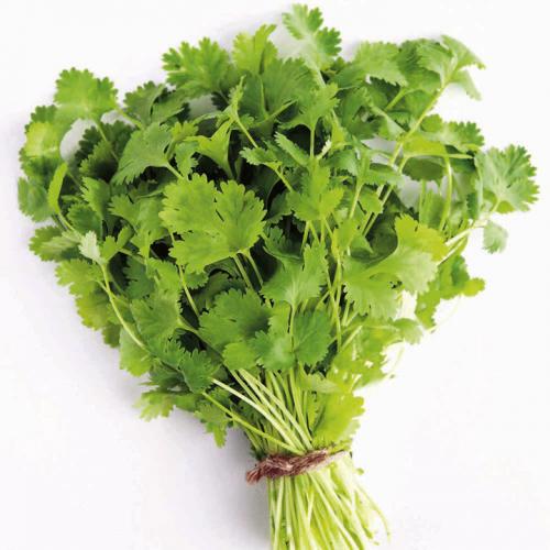 Parsley 1