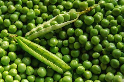 peas-and-pea-pods